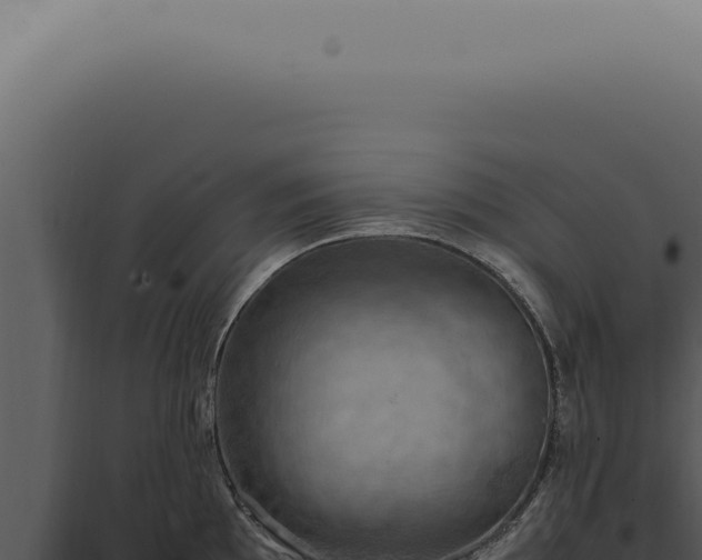 X0000098001097200804011827