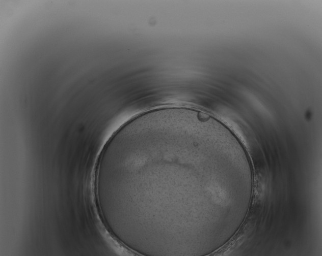 X0000098001098200804011827
