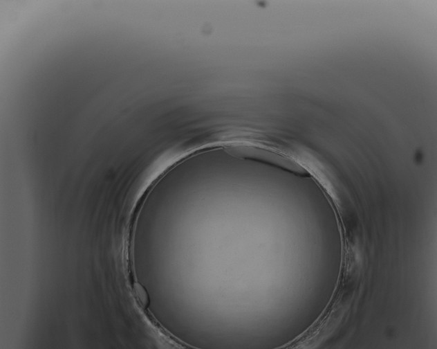 X0000098001101200804011827
