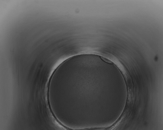 X0000098001102200804011827