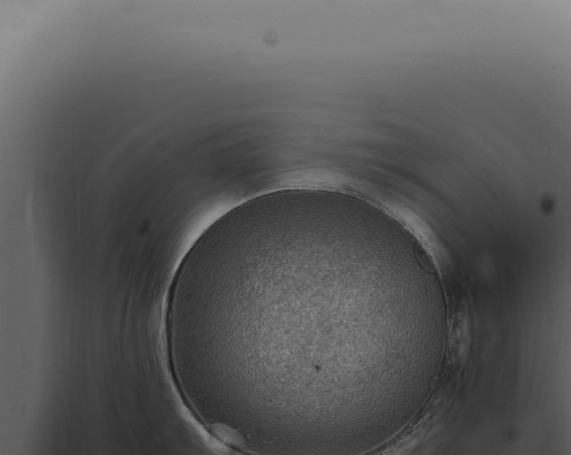 X0000098001103200804011827