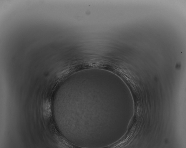 X0000098001106200804011826