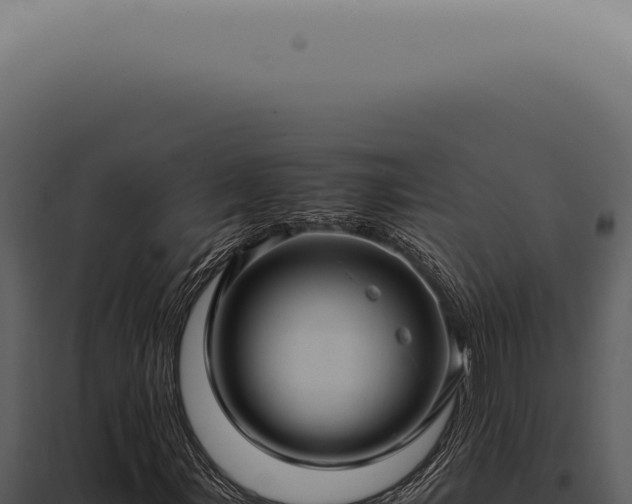X0000098001107200804011826