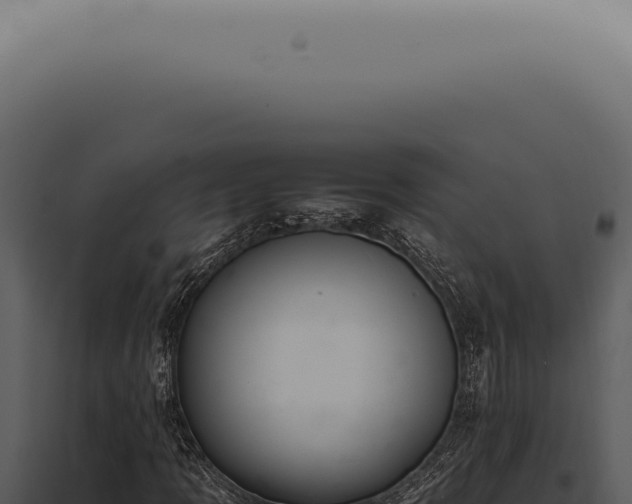 X0000098001109200804011826