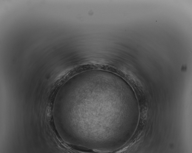 X0000098001110200804011826
