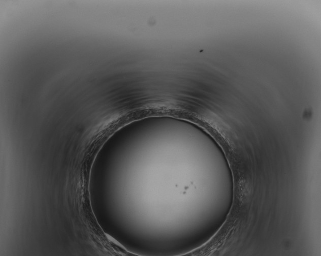X0000098001111200804011826