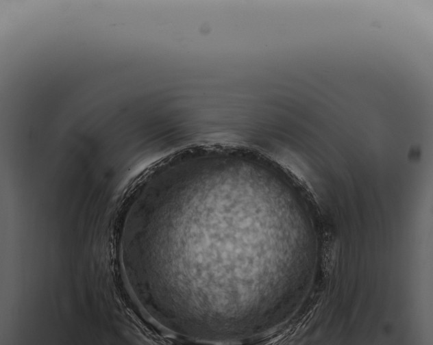 X0000098001112200804011826