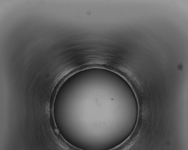 X0000098001113200804011826