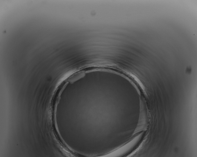 X0000098001114200804011826