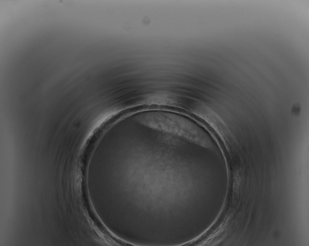 X0000098001115200804011826
