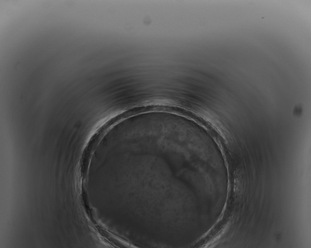 X0000098001117200804011826