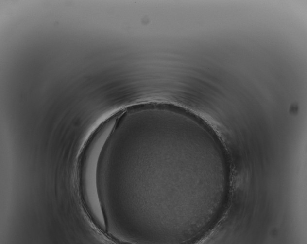X0000098001118200804011826