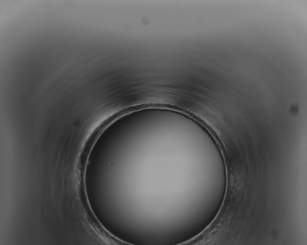 X0000098001119200804011826