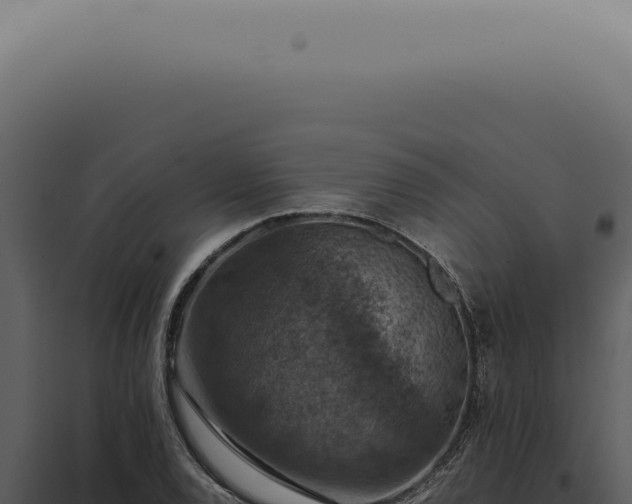 X0000098001120200804011826