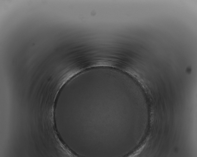 X0000098001121200804011826