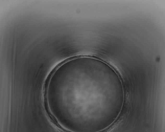 X0000098001124200804011826