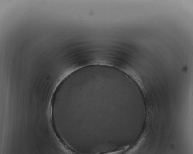 X0000098001125200804011826