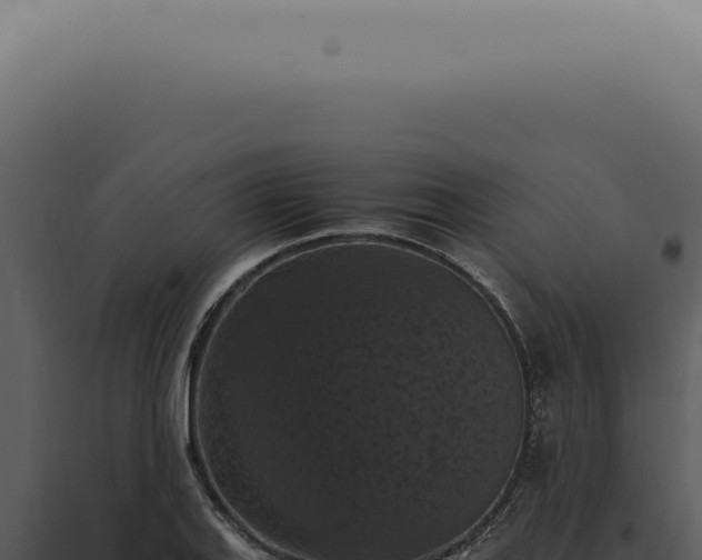 X0000098001127200804011826