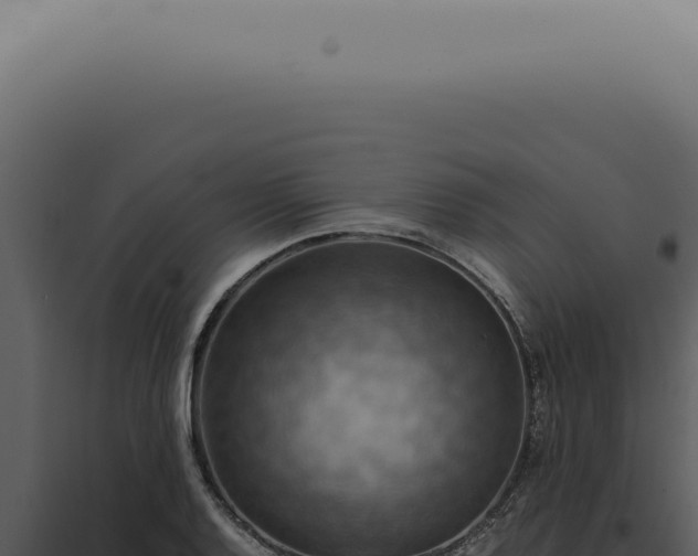 X0000098001128200804011826