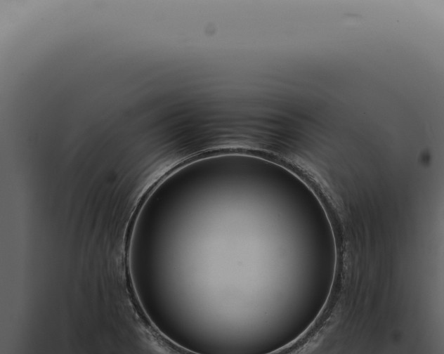 X0000098001129200804011826