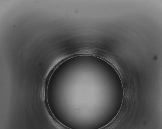 X0000098001131200804011826
