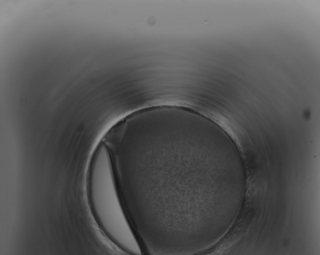 X0000098001132200804011826