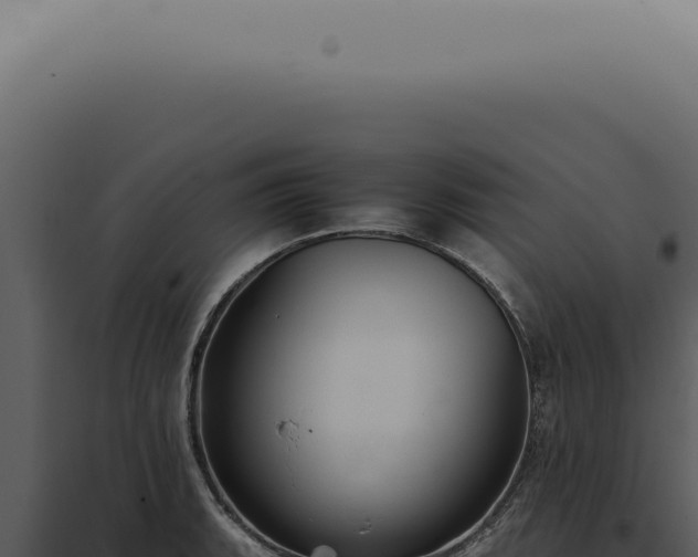 X0000098001135200804011826