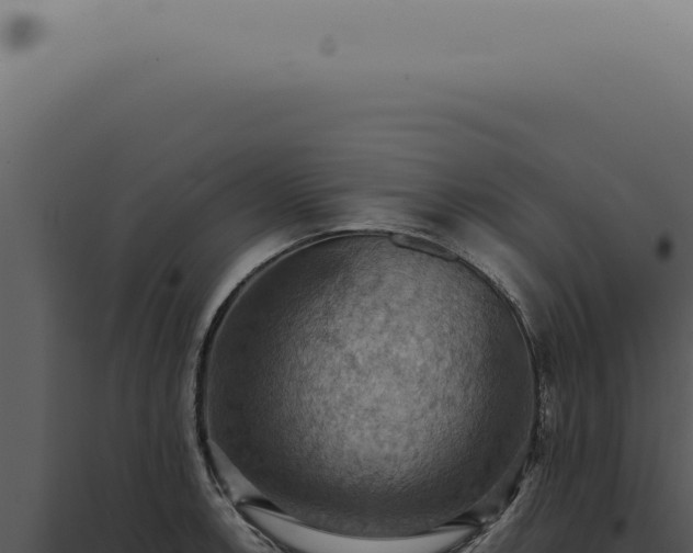X0000098001138200804011826