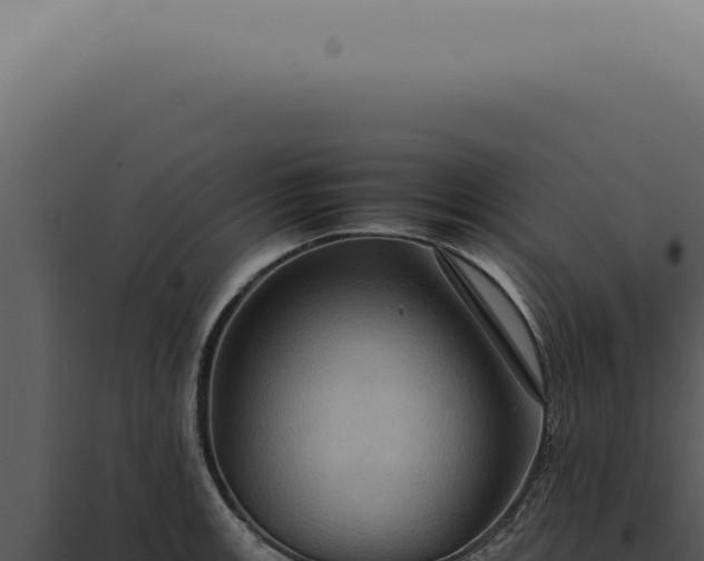 X0000098001139200804011826