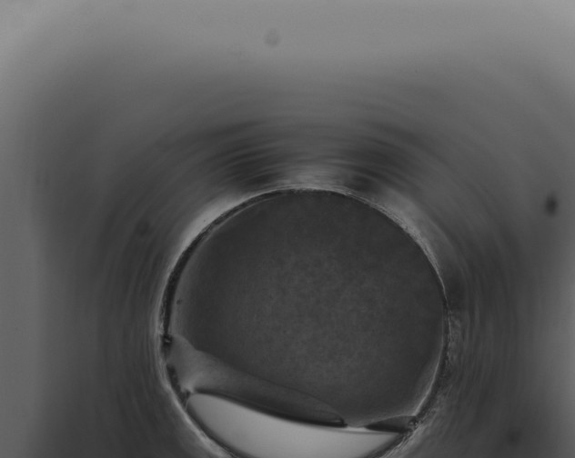 X0000098001141200804011826