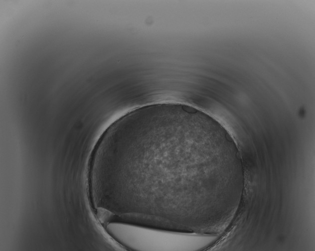X0000098001142200804011826