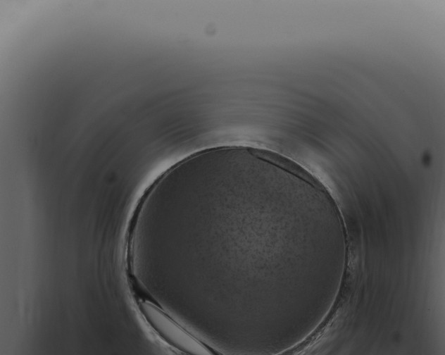 X0000098001144200804011826