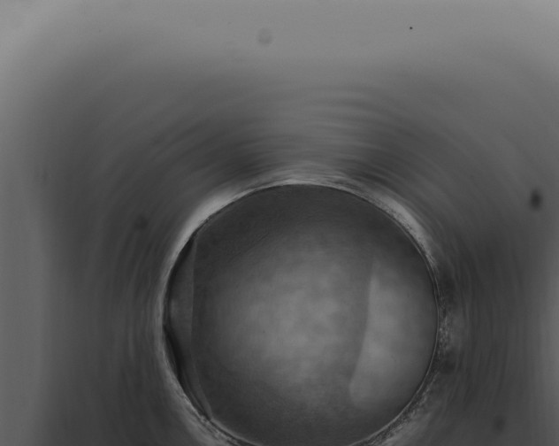 X0000098001146200804011826