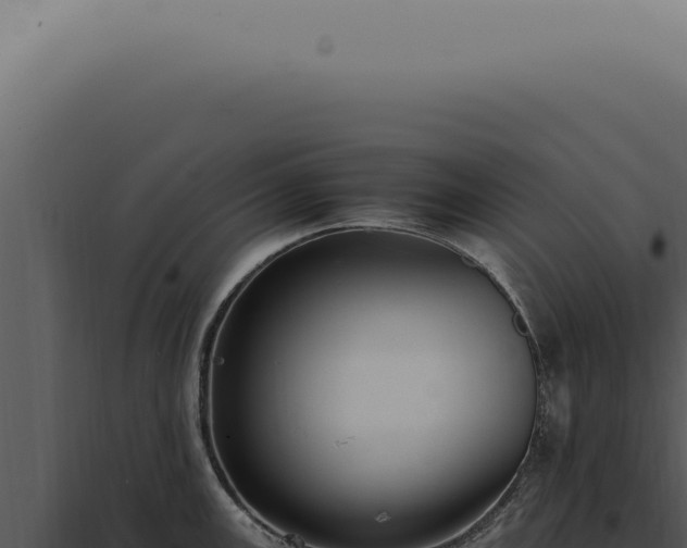 X0000098001147200804011826