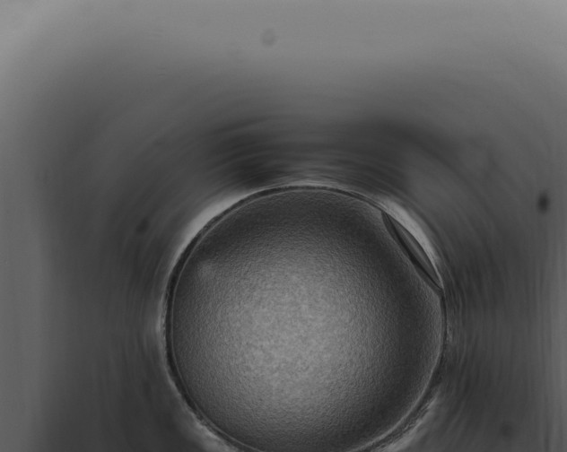 X0000098001149200804011826