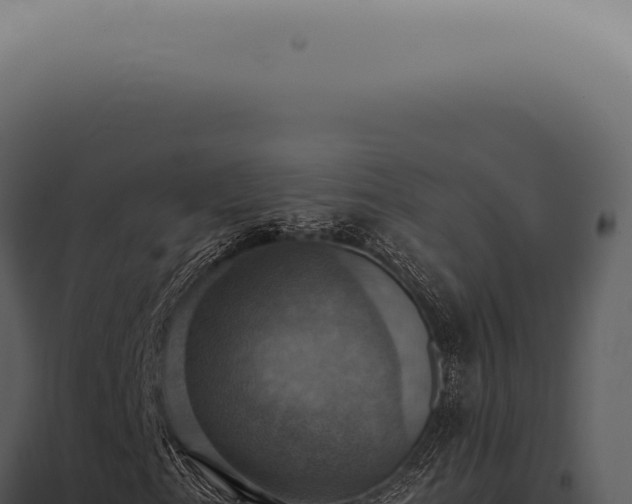 X0000098001153200804011826