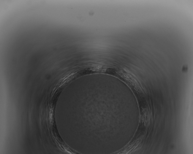 X0000098001154200804011826