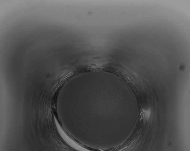 X0000098001156200804011826