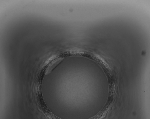 X0000098001157200804011826