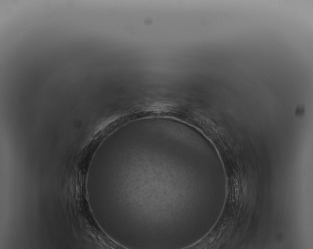 X0000098001158200804011826