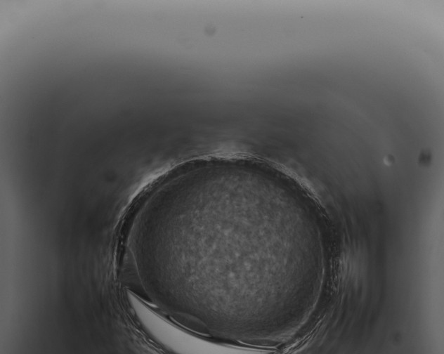 X0000098001160200804011826