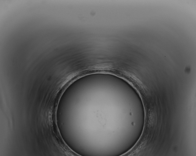 X0000098001162200804011826