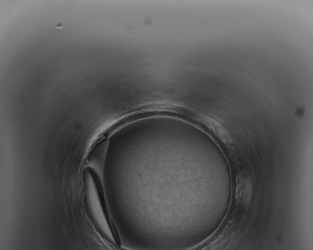 X0000098001164200804011826