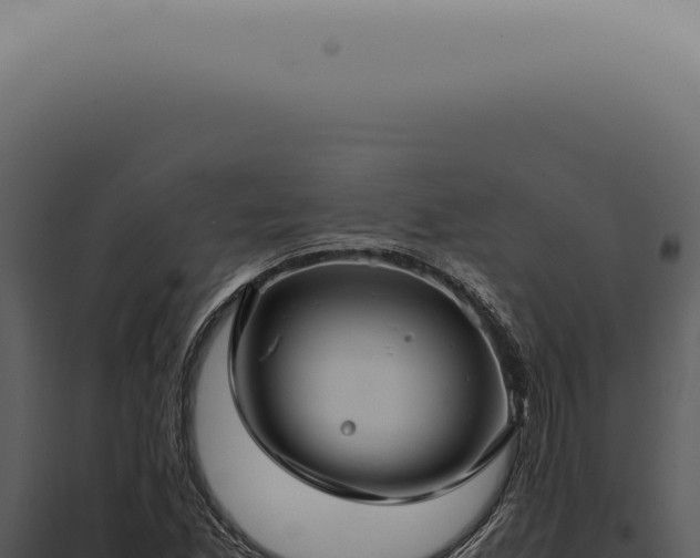 X0000098001165200804011826