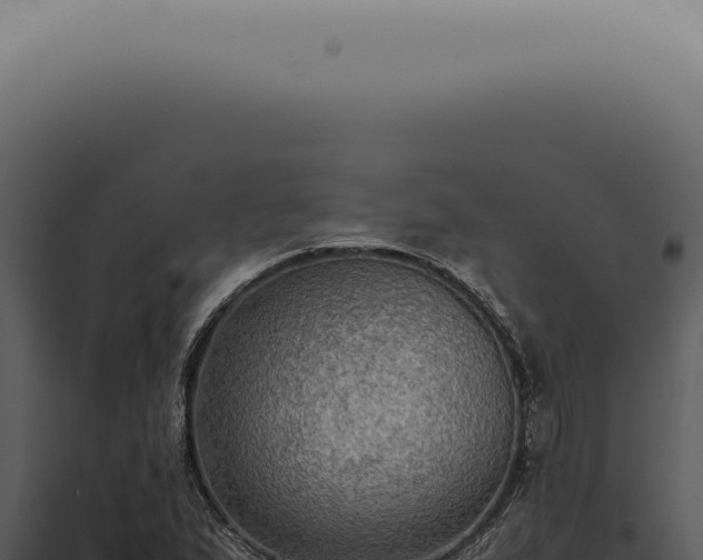 X0000098001167200804011826
