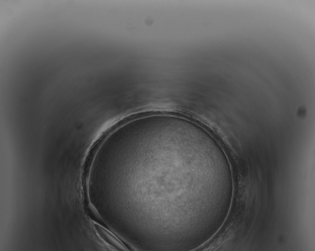 X0000098001168200804011826