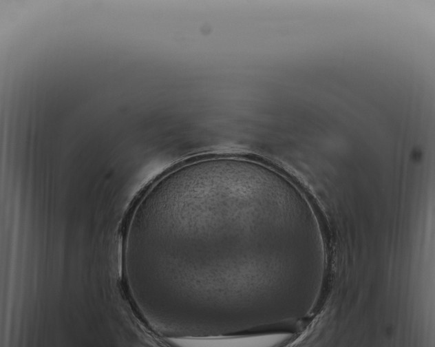 X0000098001171200804011826