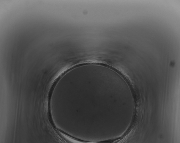 X0000098001173200804011825