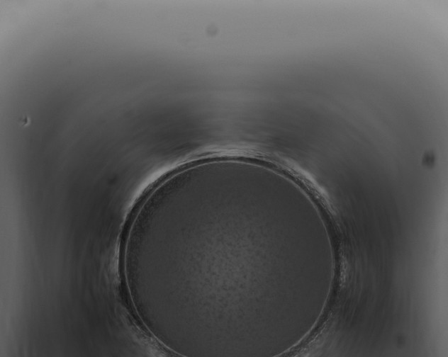 X0000098001174200804011825