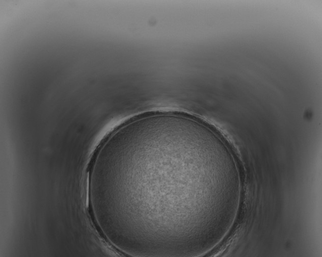 X0000098001175200804011825